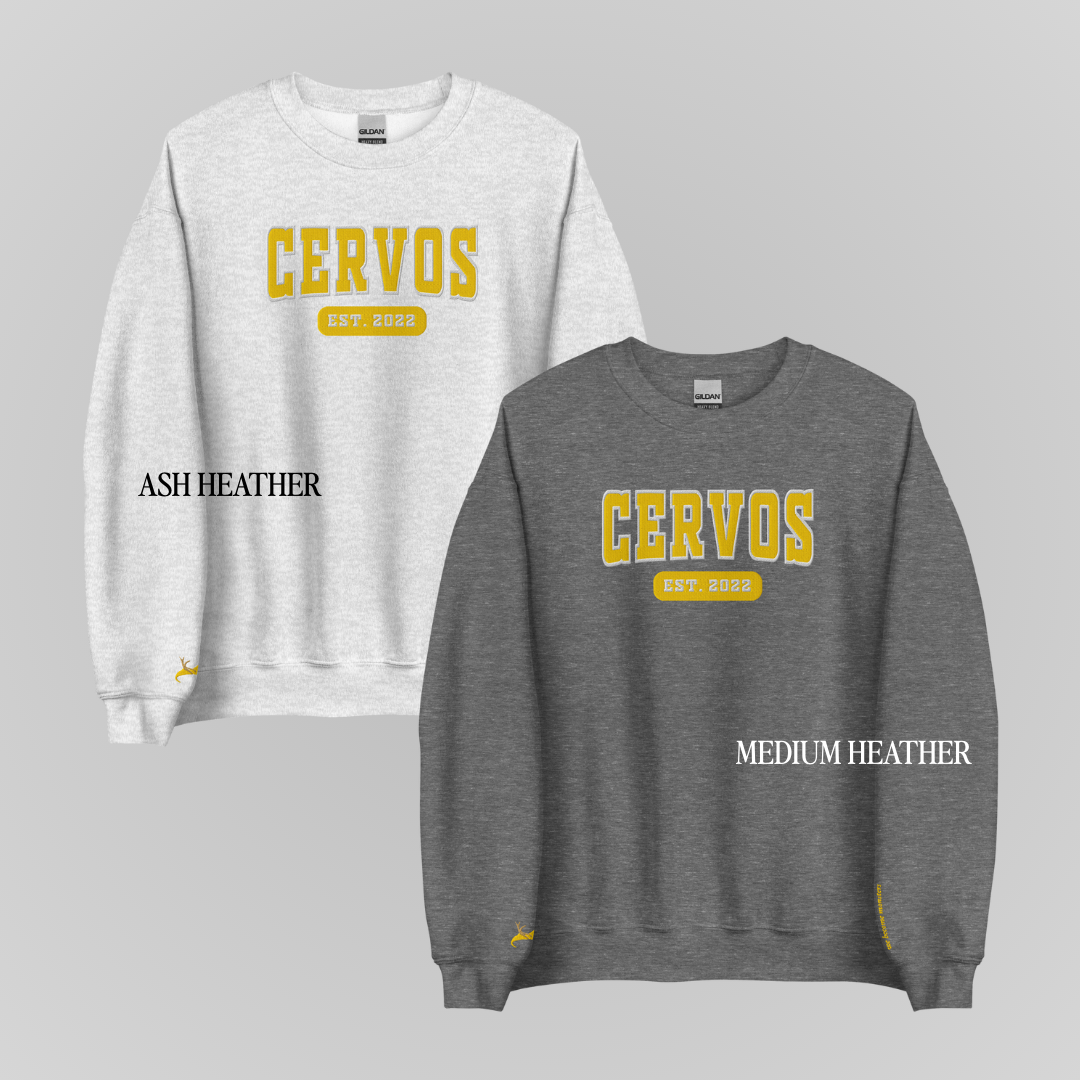 CRESCENT CITY COLLEGIATE EMBROIDERED CREWNECKS *RUHN x LIDIA EDITION