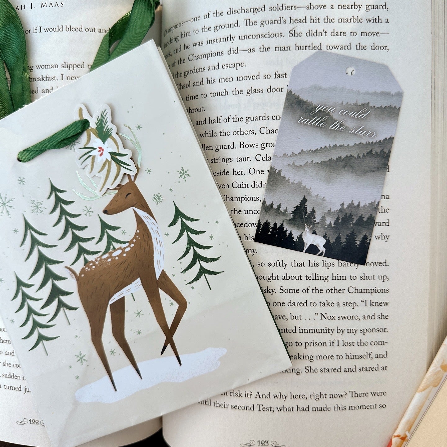 SARAH J MAAS BOOK GIFT TAGS