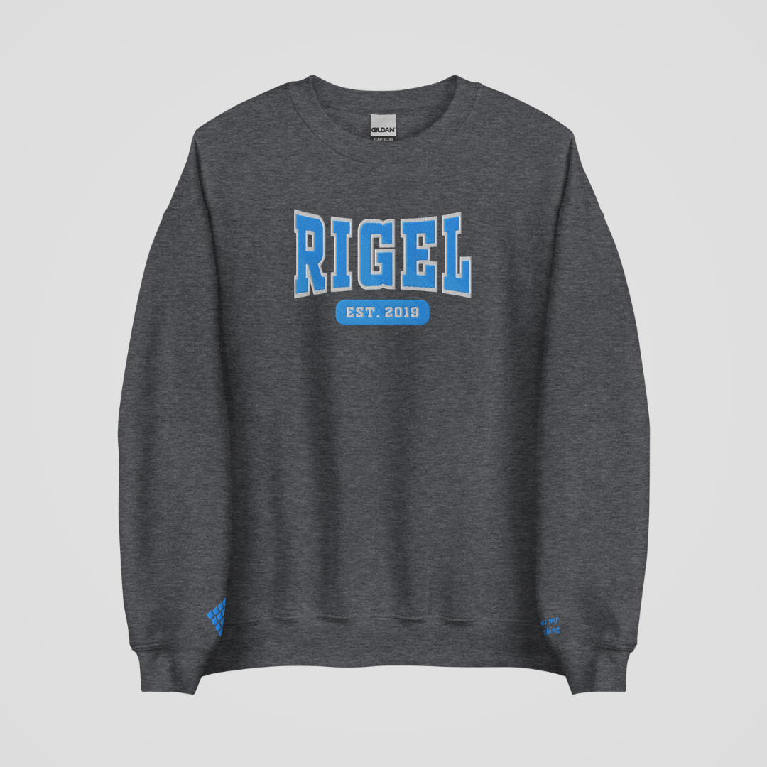 ZODIAC ACADEMY COLLEGIATE EMBROIDERED CREWNECKS *MAX RIGEL EDITION