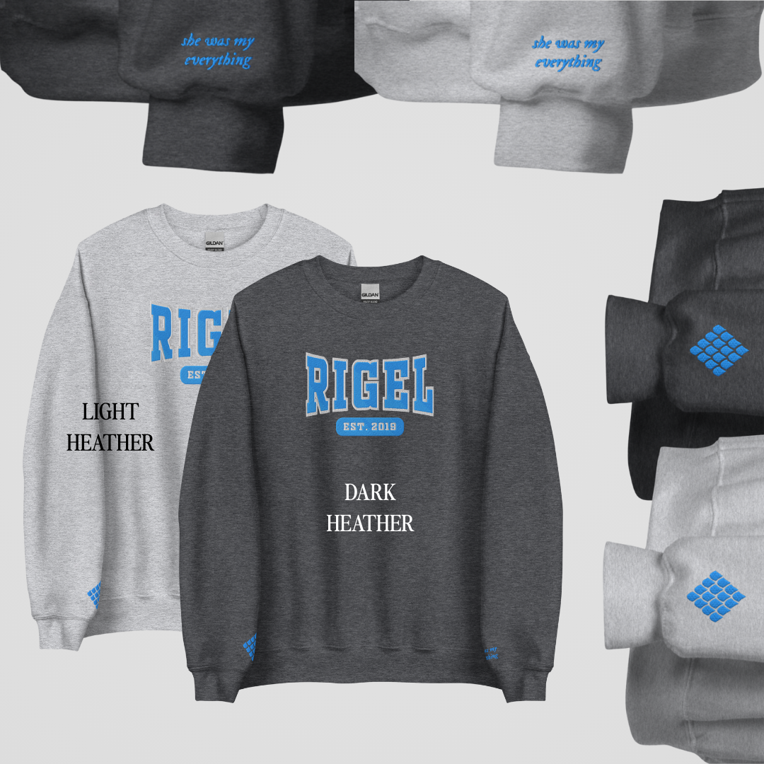 ZODIAC ACADEMY COLLEGIATE EMBROIDERED CREWNECKS *MAX RIGEL EDITION