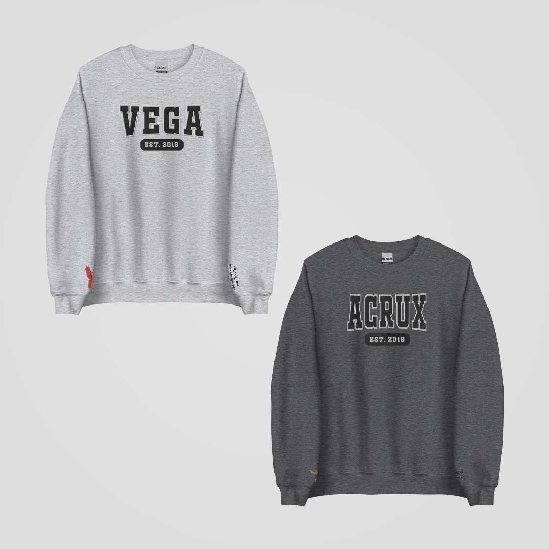 ZODIAC ACADEMY COLLEGIATE EMBROIDERED CREWNECKS *DARIUS x TORY EDITION