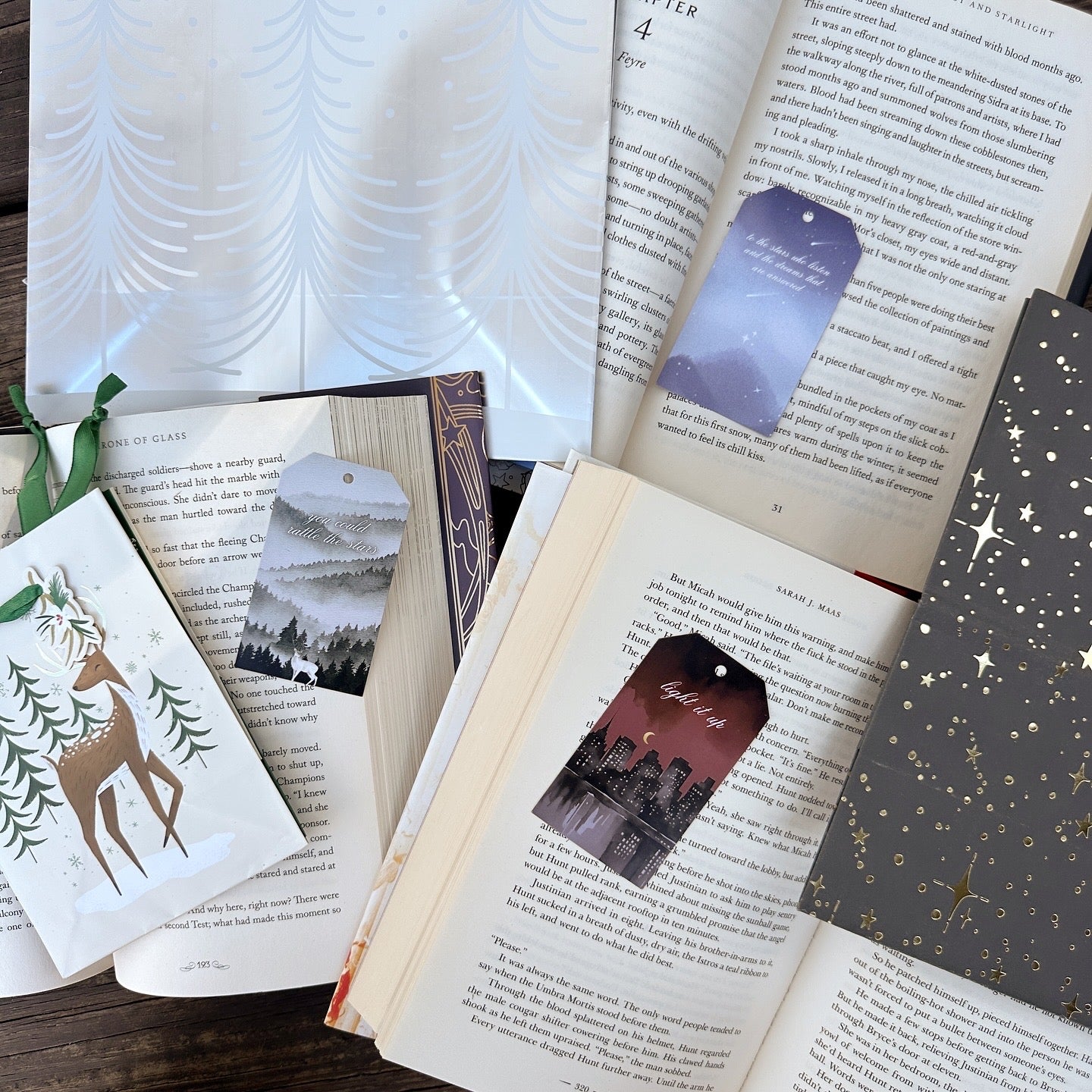 SARAH J MAAS BOOK GIFT TAGS