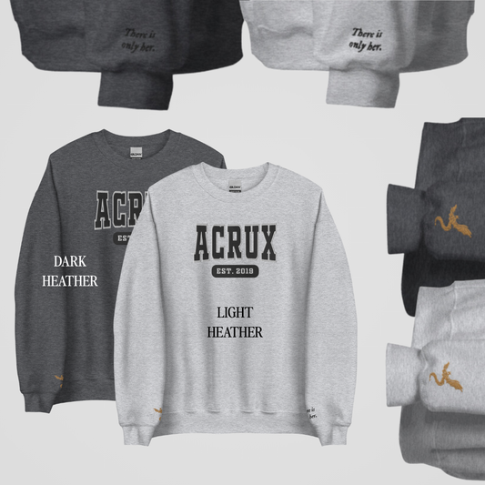 ZODIAC ACADEMY COLLEGIATE EMBROIDERED CREWNECKS *DARIUS x TORY EDITION