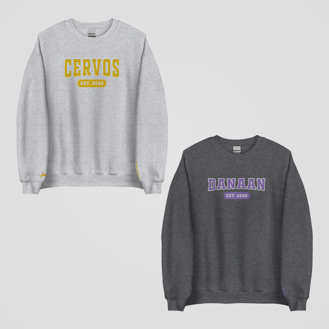 CRESCENT CITY COLLEGIATE EMBROIDERED CREWNECKS *RUHN x LIDIA EDITION