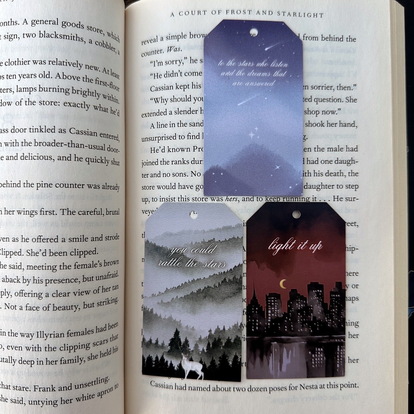 SARAH J MAAS BOOK GIFT TAGS