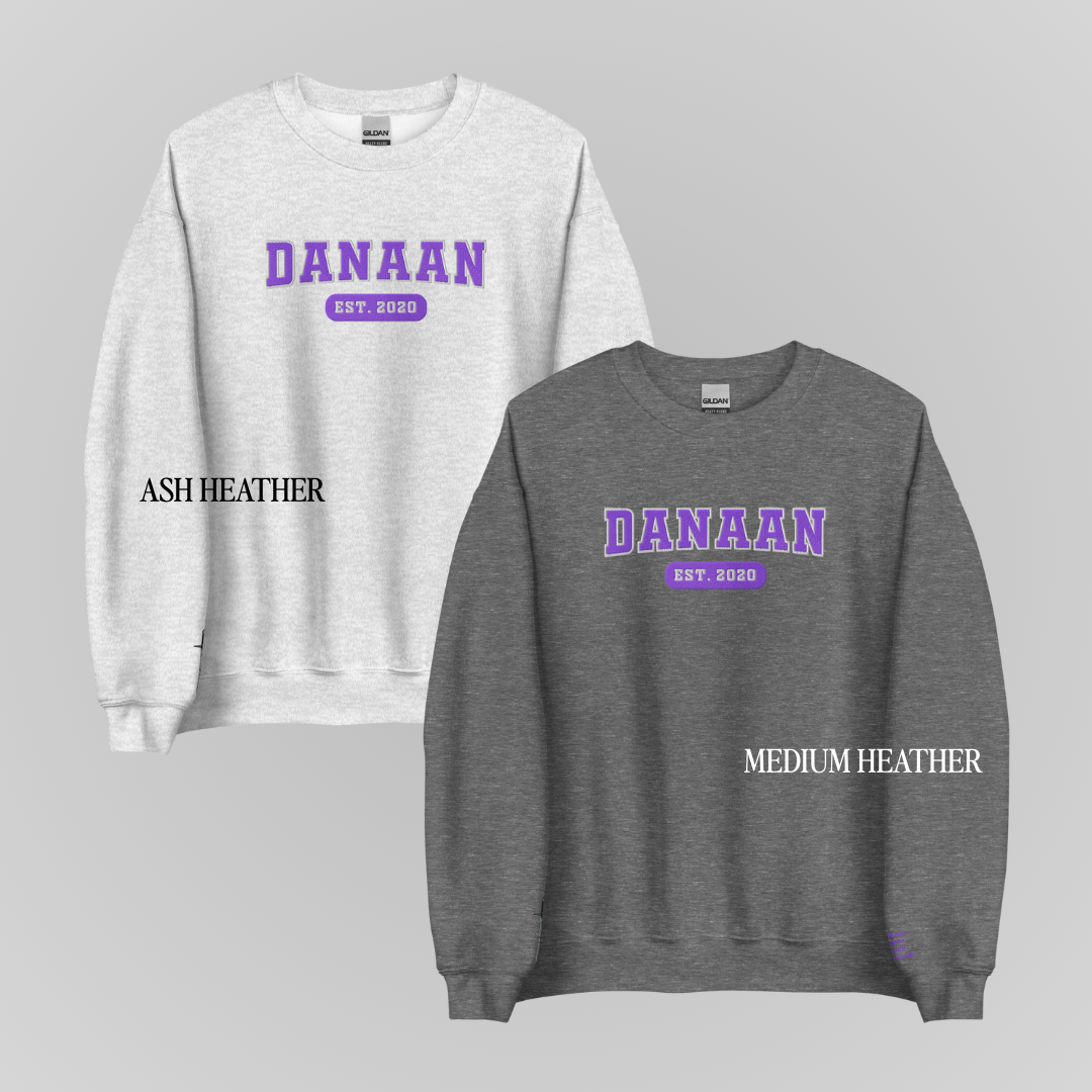 CRESCENT CITY COLLEGIATE EMBROIDERED CREWNECKS *RUHN x LIDIA EDITION