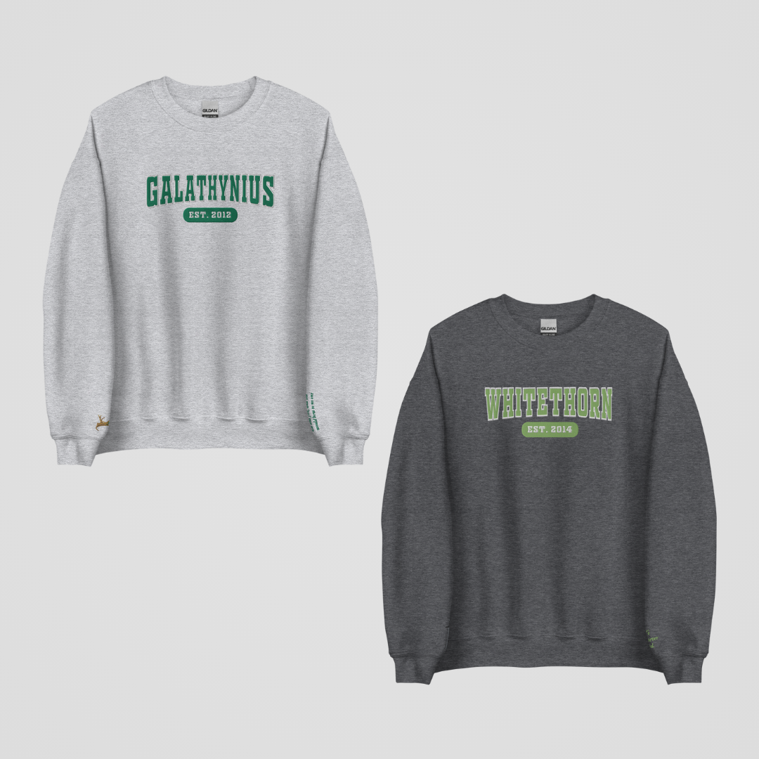 THRONE OF GLASS COLLEGIATE EMBROIDERED CREWNECKS *ROWAN x AELIN EDITION