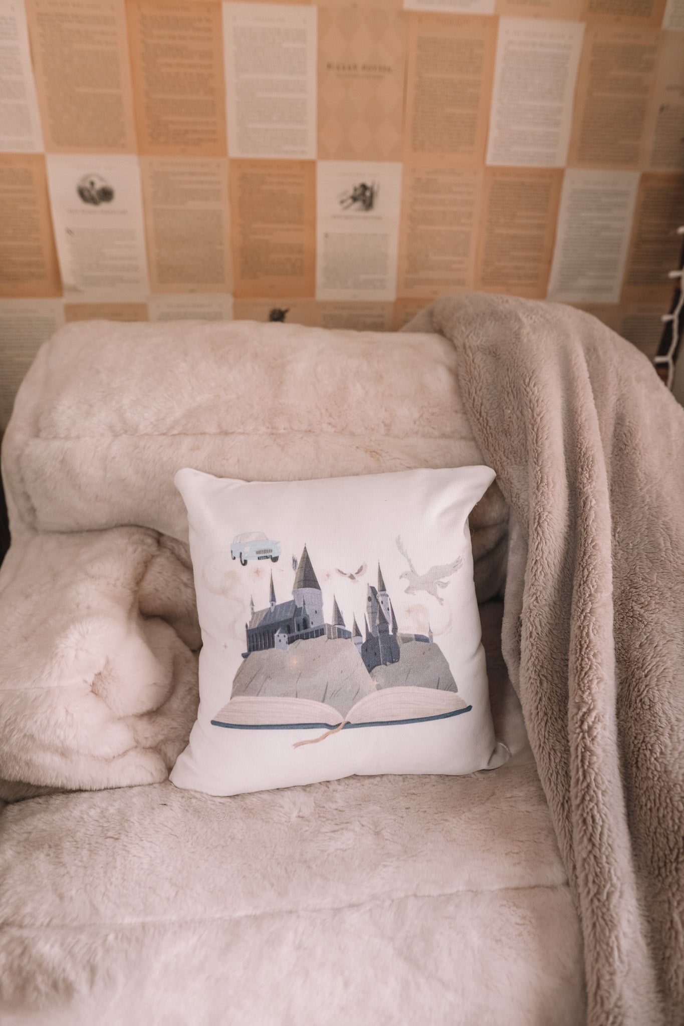 FICTIONAL WORLD PILLOW