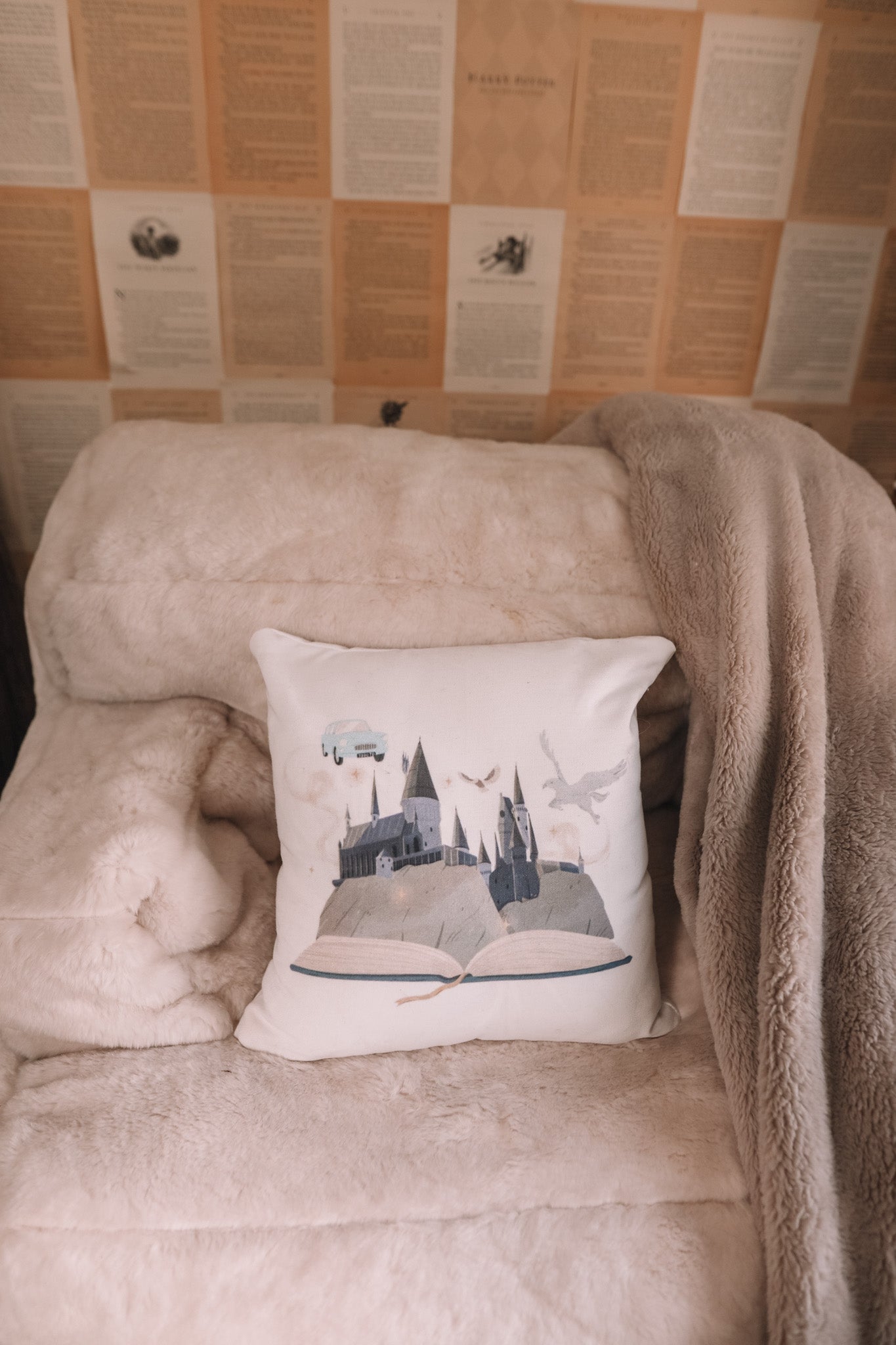 FICTIONAL WORLD PILLOW