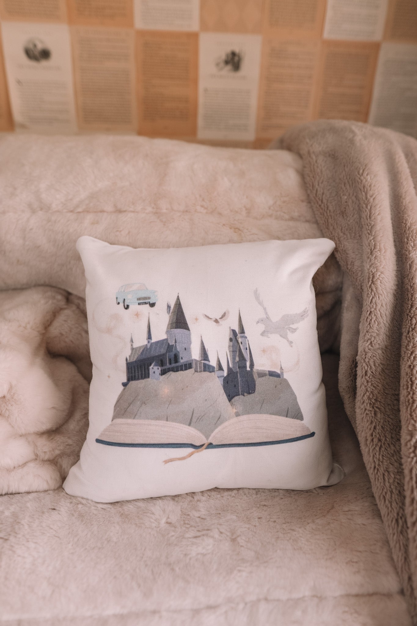 FICTIONAL WORLD PILLOW
