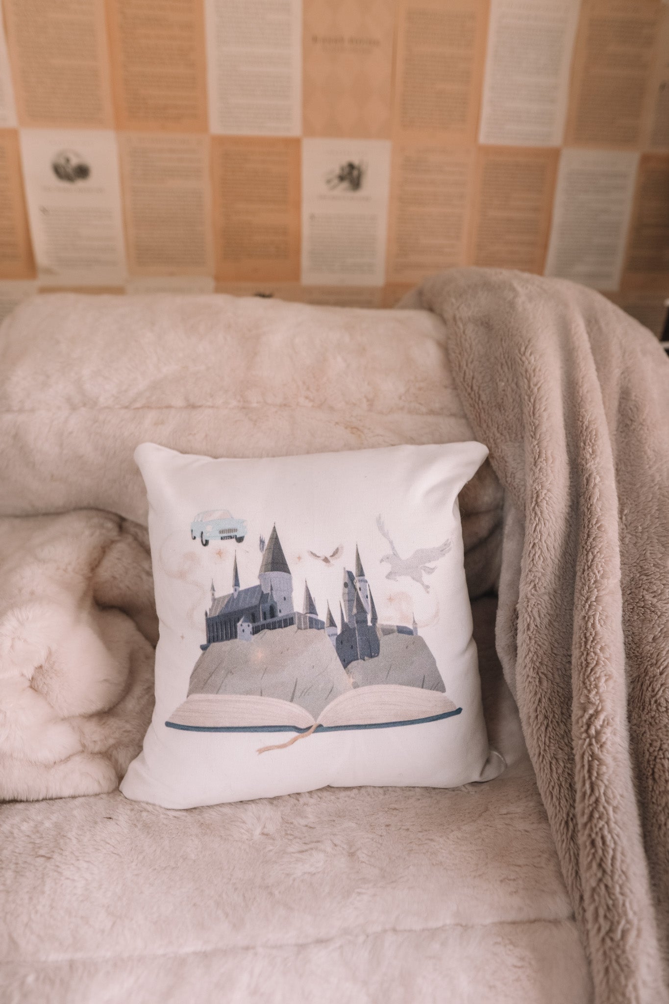 FICTIONAL WORLD PILLOW