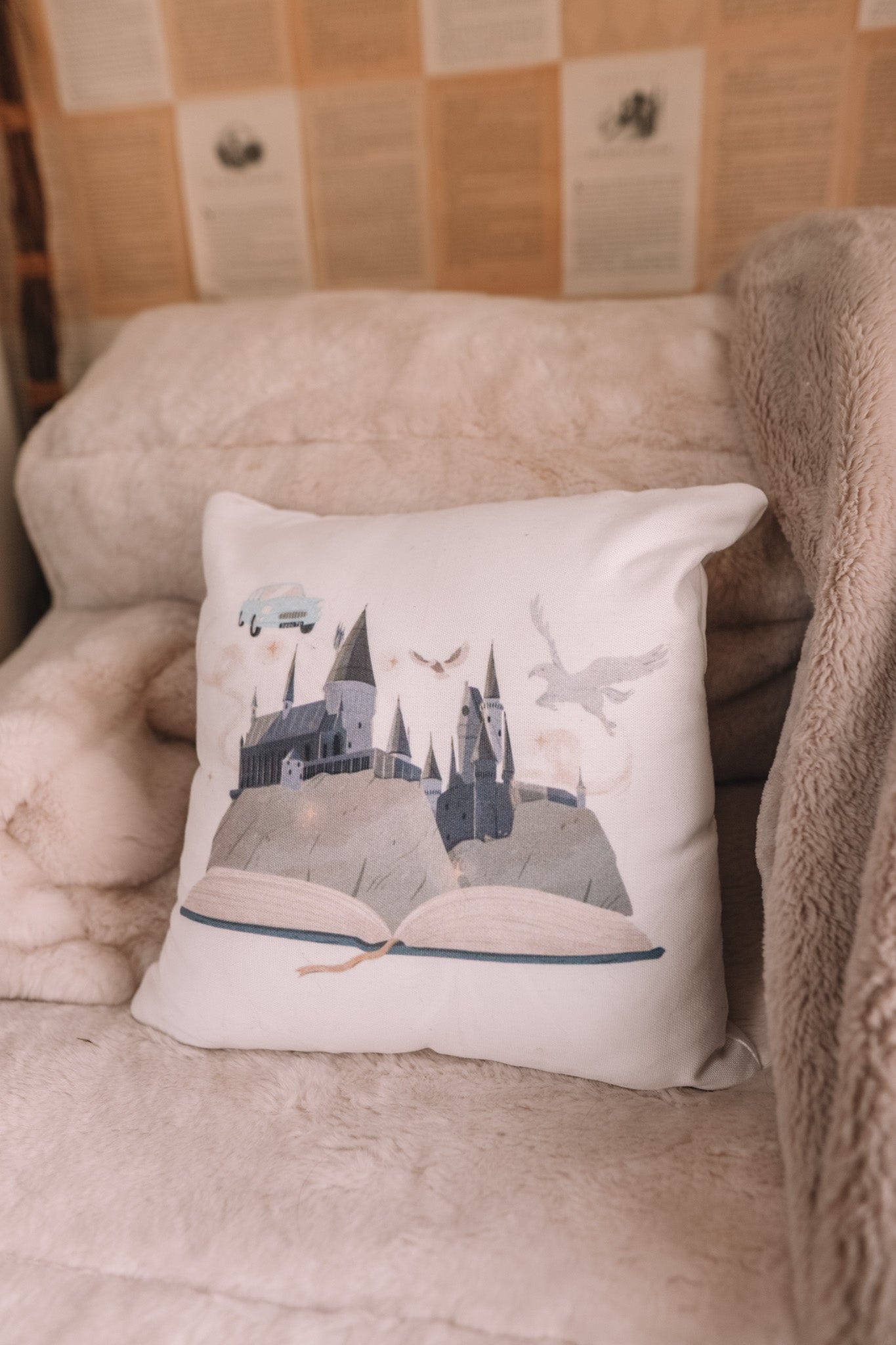 FICTIONAL WORLD PILLOW