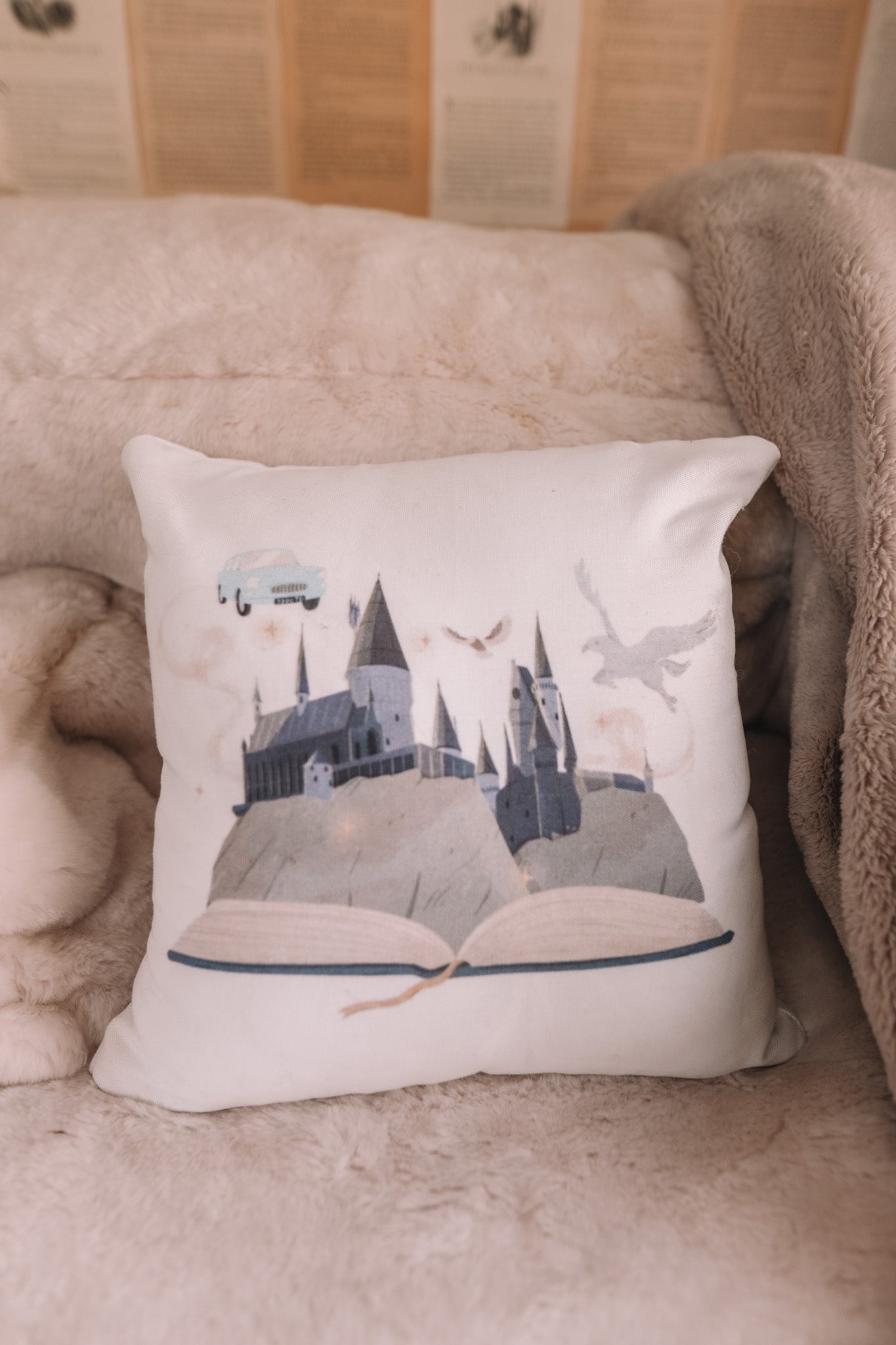 FICTIONAL WORLD PILLOW