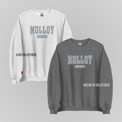 TOMMEN COLLEGIATE EMBROIDERED CREWNECKS *JOEY x AOIFE EDITION