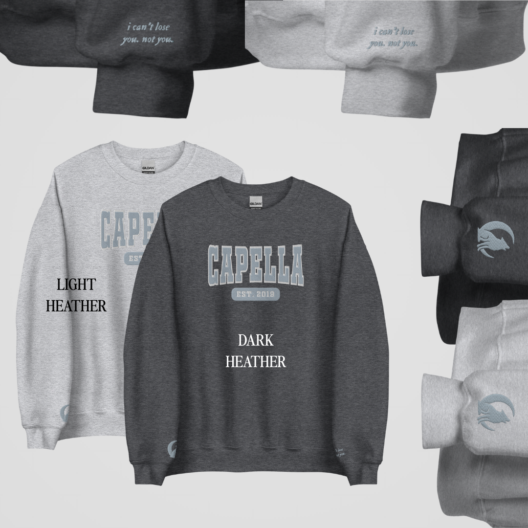 ZODIAC ACADEMY COLLEGIATE EMBROIDERED CREWNECKS *SETH x CALEB EDITION