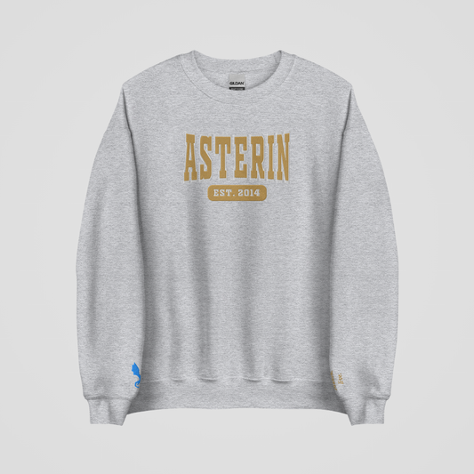 THRONE OF GLASS COLLEGIATE EMBROIDERED CREWNECKS *ASTERIN BLACKBEAK EDITION