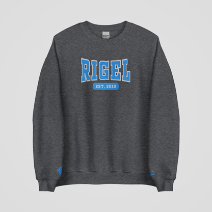 ZODIAC ACADEMY COLLEGIATE EMBROIDERED CREWNECKS *MAX RIGEL EDITION