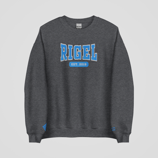 ZODIAC ACADEMY COLLEGIATE EMBROIDERED CREWNECKS *MAX RIGEL EDITION