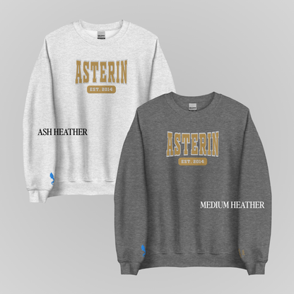 THRONE OF GLASS COLLEGIATE EMBROIDERED CREWNECKS *ASTERIN BLACKBEAK EDITION