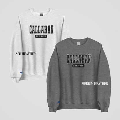 VIPERS COLLEGIATE EMBROIDERED CREWNECKS *JUDE x WINTER EDITION