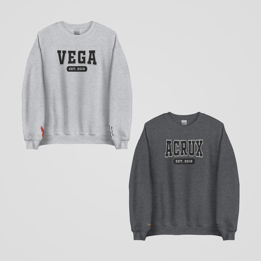 ZODIAC ACADEMY COLLEGIATE EMBROIDERED CREWNECKS *DARIUS x TORY EDITION