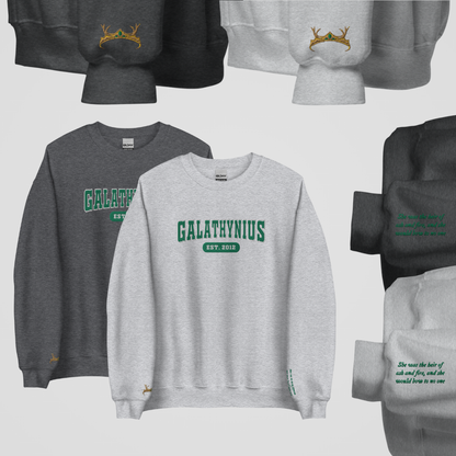 SJM COLLEGIATE EMBROIDERED CREWNECK *TOG FEMALE LEADS EDITION