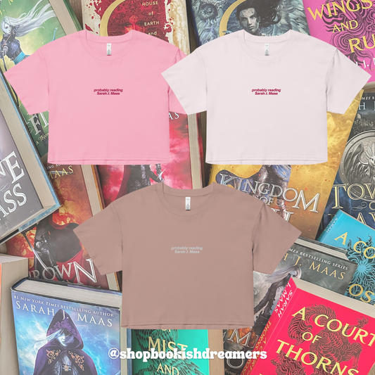 PROBABLY READING SJM EMBROIDERED CROP TEE