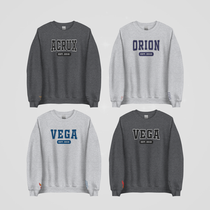 COLLEGIATE EMBROIDERED CREWNECK *ZODIAC ACADEMY EDITION