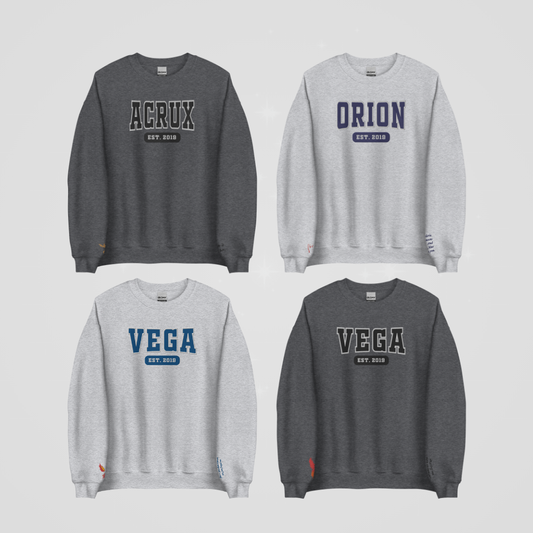 COLLEGIATE EMBROIDERED CREWNECK *ZODIAC ACADEMY EDITION