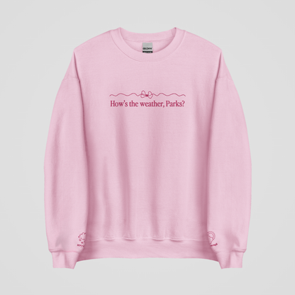 HOW'S THE WEATHER EMBROIDERED CREWNECK