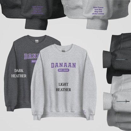 CRESCENT CITY COLLEGIATE EMBROIDERED CREWNECKS *RUHN x LIDIA EDITION