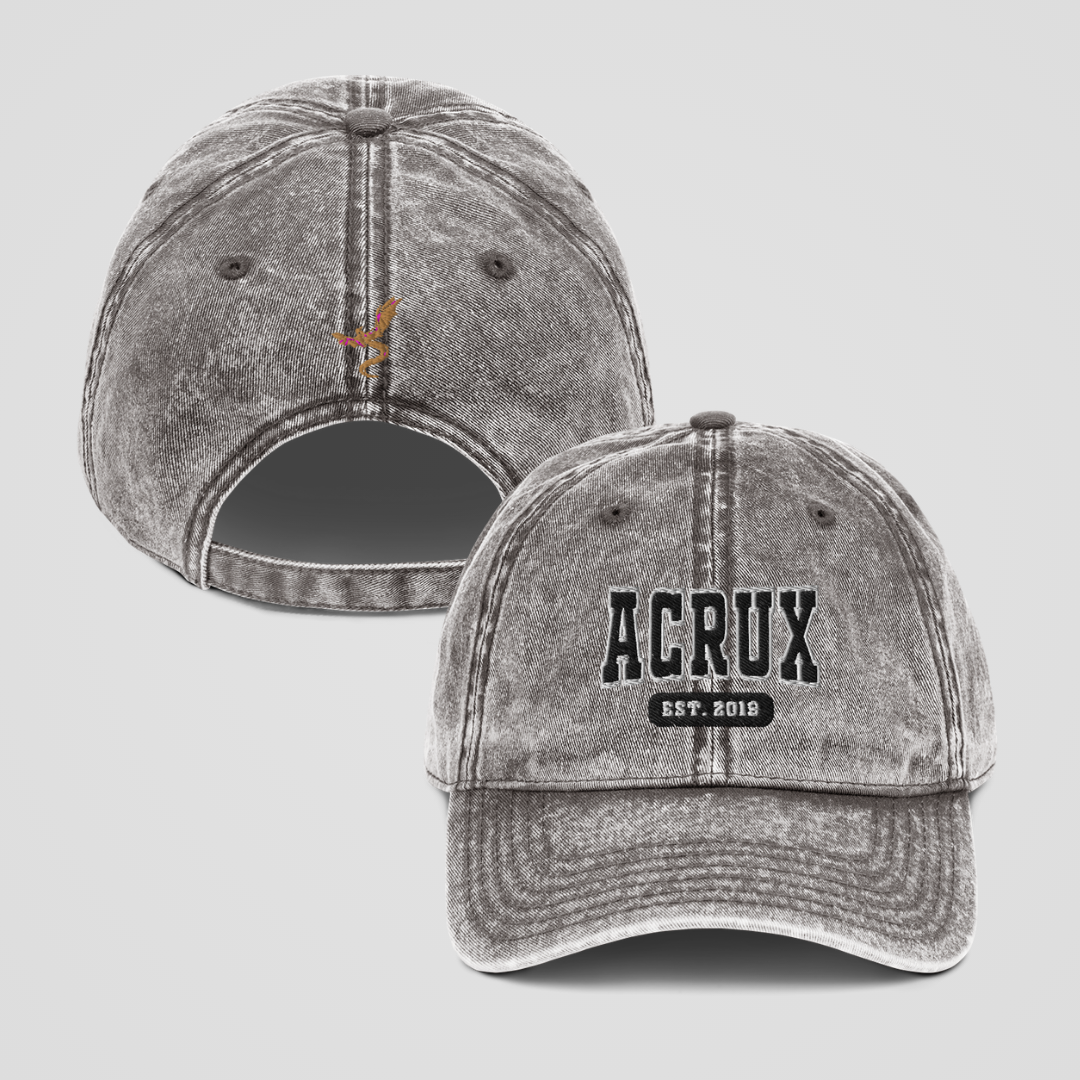 ZODIAC ACADEMY COLLEGIATE HAT