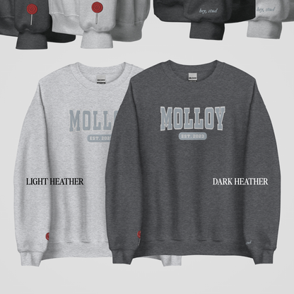 TOMMEN COLLEGIATE EMBROIDERED CREWNECKS *JOEY x AOIFE EDITION