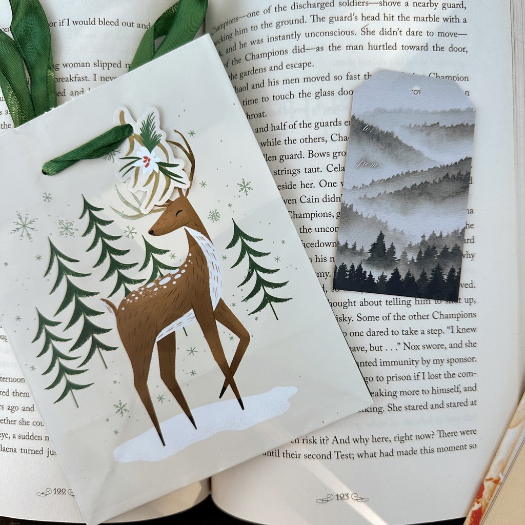 SARAH J MAAS BOOK GIFT TAGS