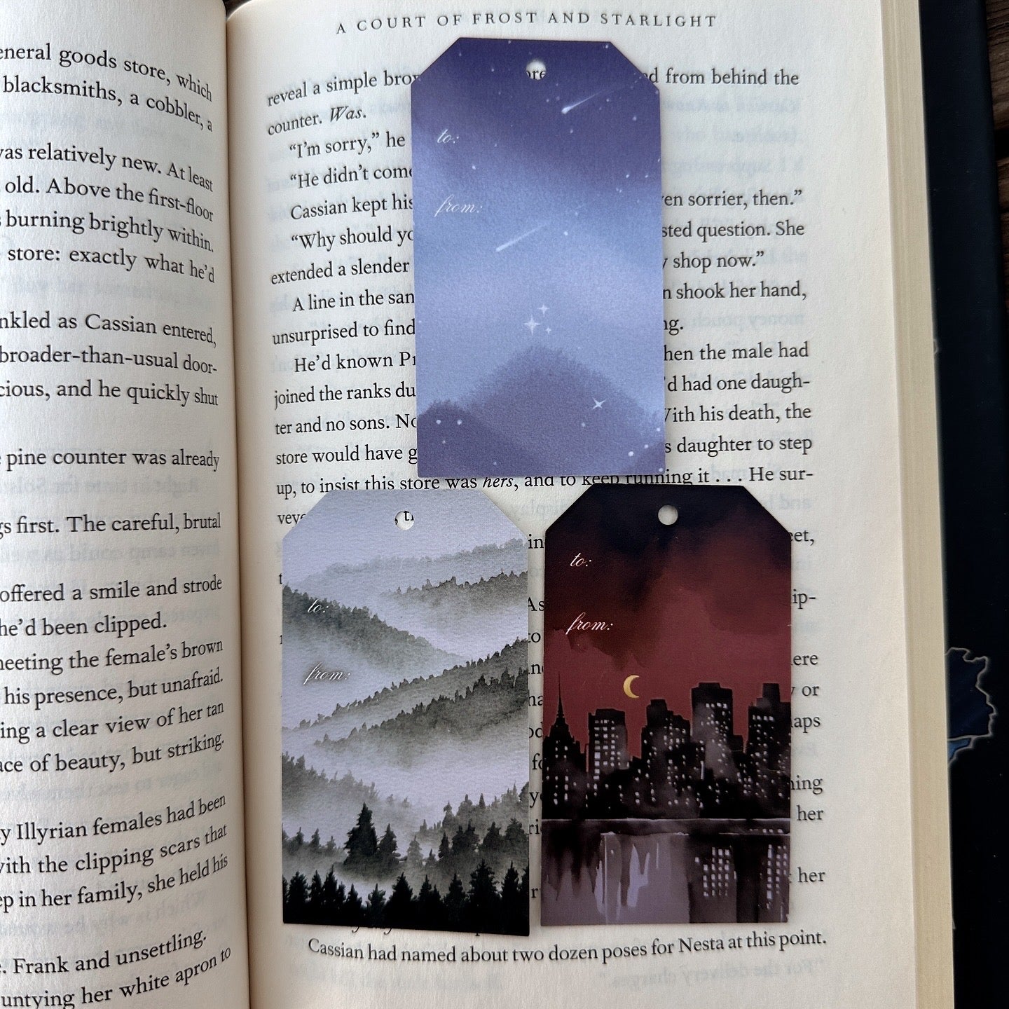 SARAH J MAAS BOOK GIFT TAGS