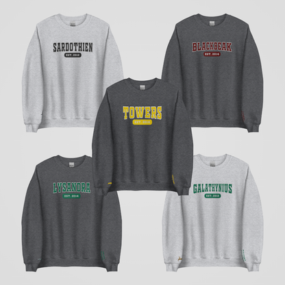 SJM COLLEGIATE EMBROIDERED CREWNECK *TOG FEMALE LEADS EDITION
