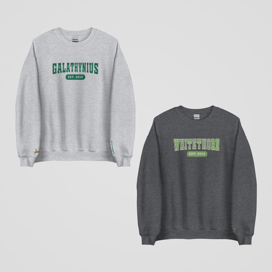 THRONE OF GLASS COLLEGIATE EMBROIDERED CREWNECKS *ROWAN x AELIN EDITION